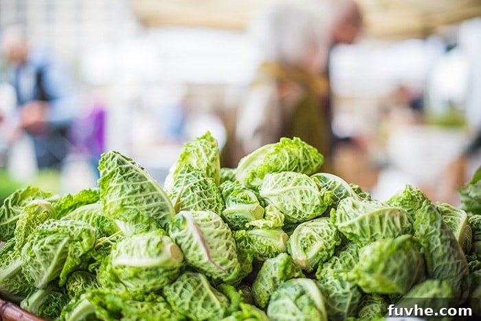 Unraveling Your Persistent Hunger 5 Why Am I So Hungry All The Time? And what we can do about it!