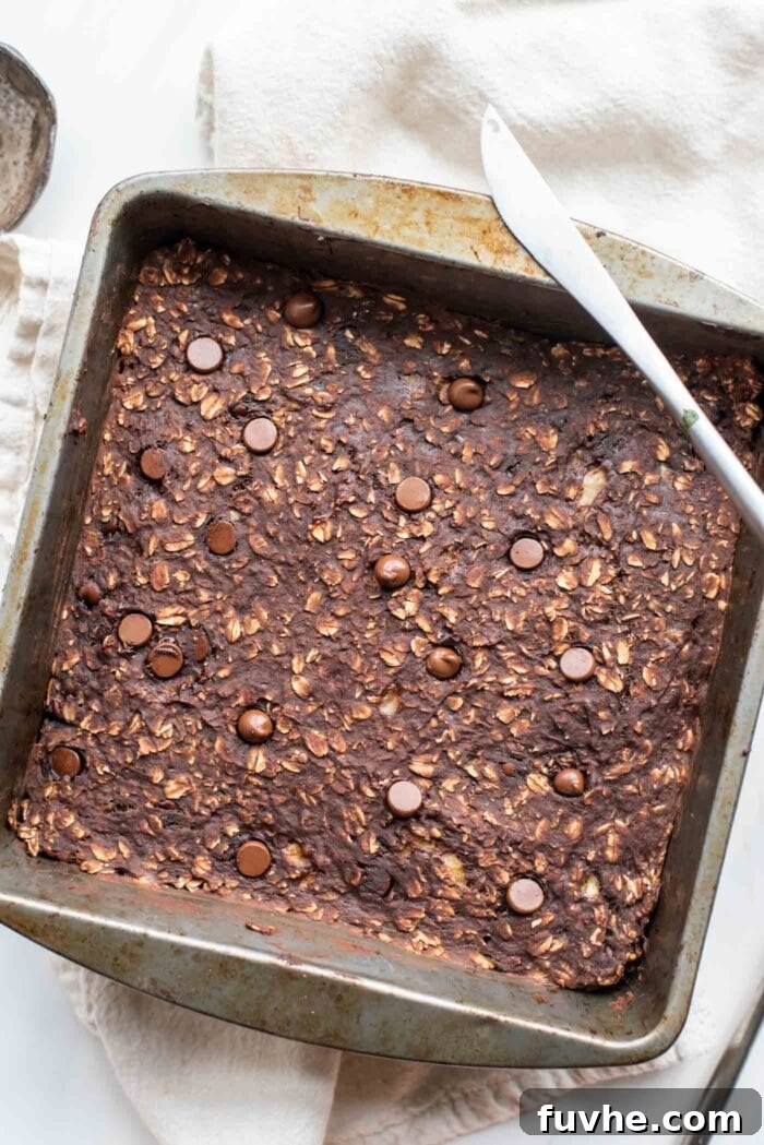 Wholesome Chocolate Protein Baked Oat Bars 5 Freshly baked chocolate oat bars cooling in a square baking pan, with a knife resting on the edge, ready for slicing.