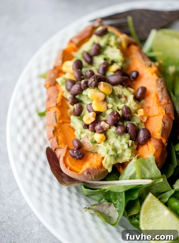 Best Vegan Protein Sources