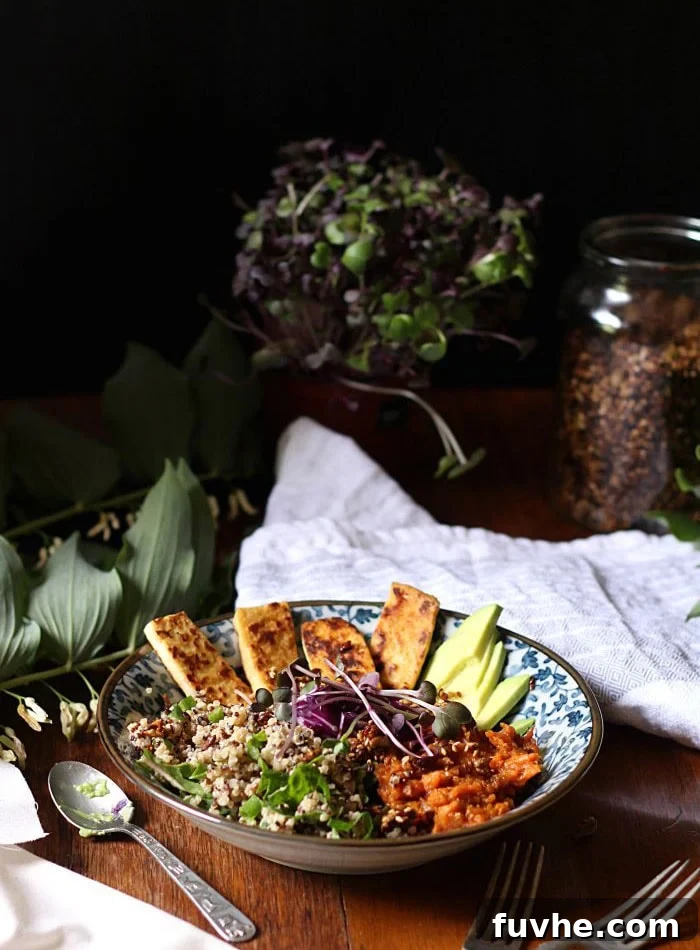 Sweet and Savoury Healthy Vegan Breakfasts
