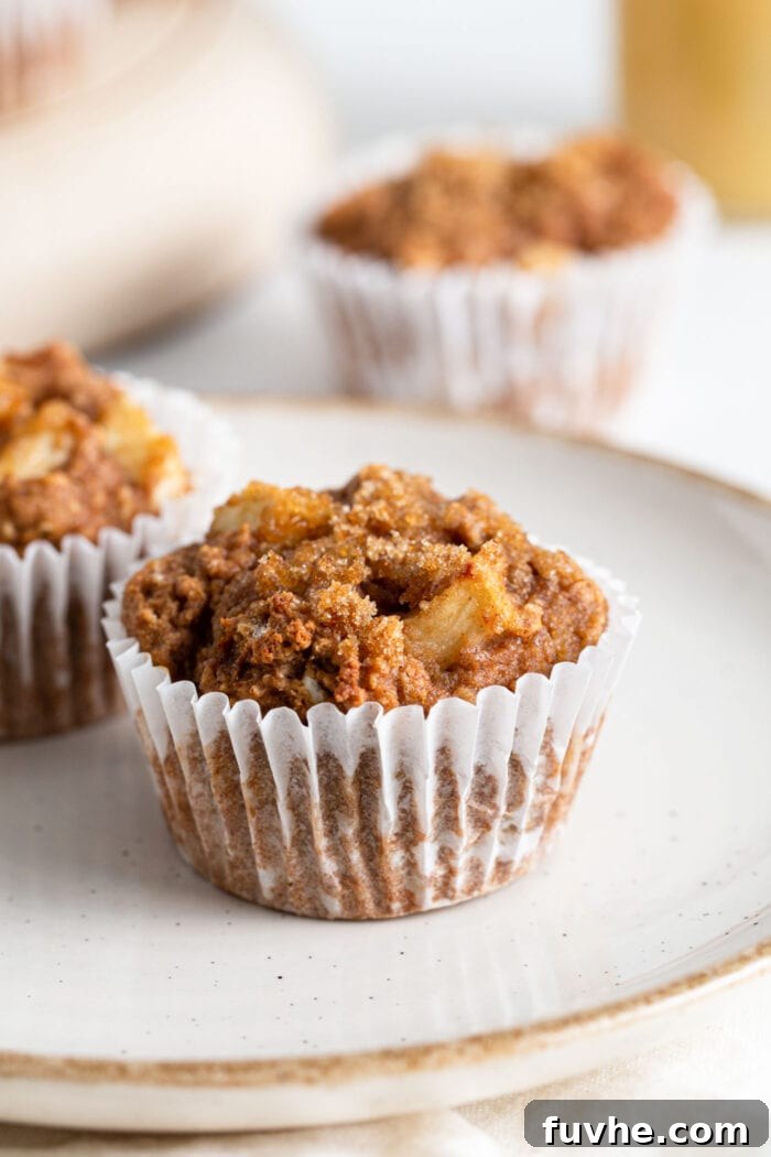 Two applesauce muffins on a plate. More muffins in background.