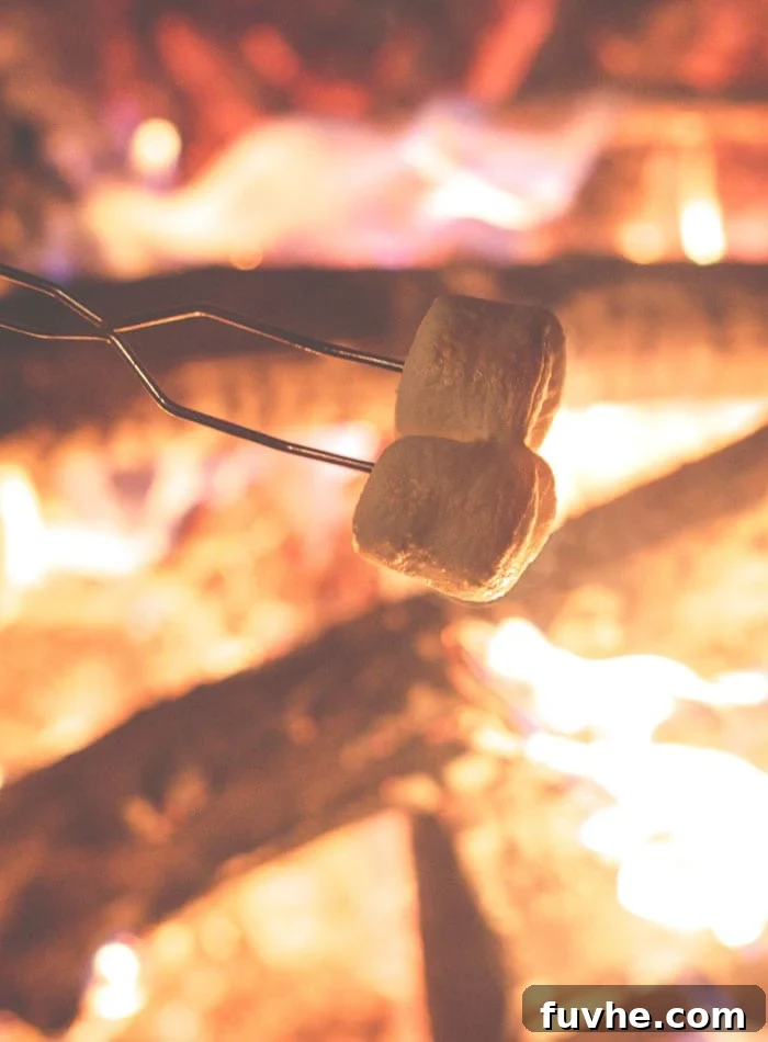 Plant-Based Campfire Cuisine 3 An array of camping essentials including cooking gear, cutlery, and a cooler, laid out for a stress-free vegan camping culinary experience.