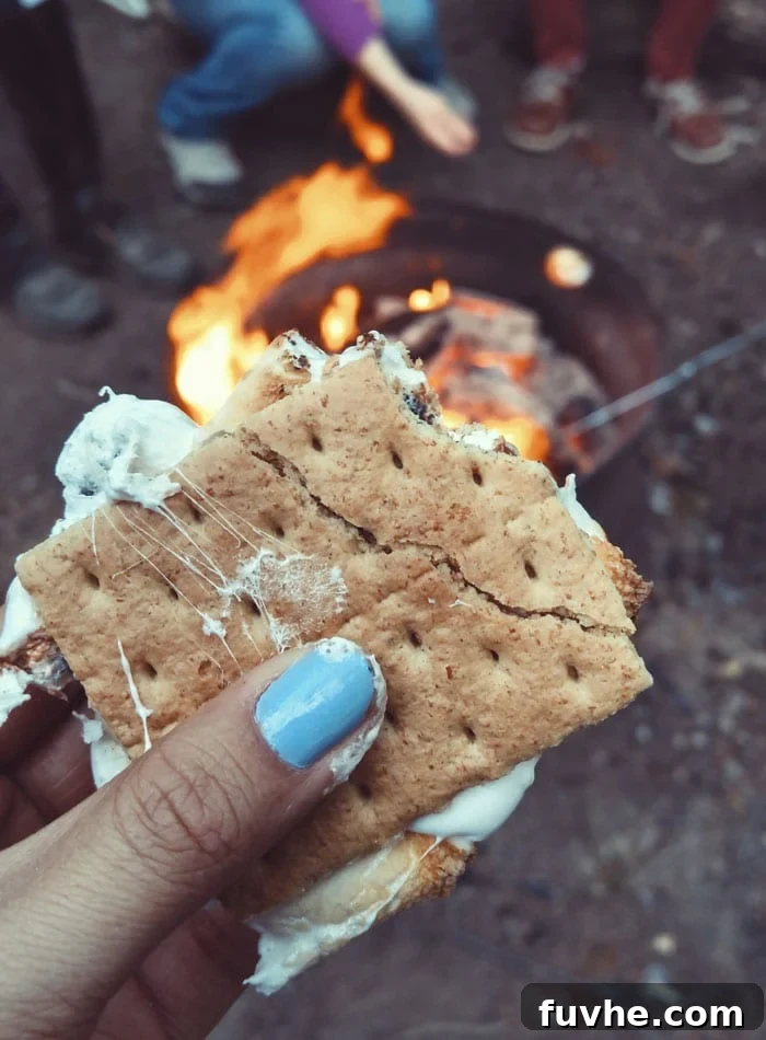 Plant-Based Campfire Cuisine 8 A mouth-watering dessert quesadilla filled with melted chocolate, peanut butter, and sliced bananas, demonstrating a creative vegan camping dessert.