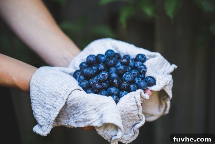 Fresh, colorful fruits and vegetables, highlighting their role as healthy simple carbohydrates in an anti-inflammatory diet.
