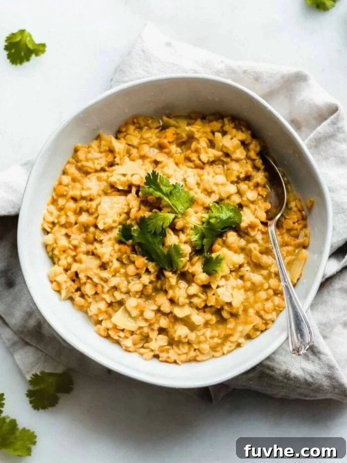 3-Day Plant-Based Whole Food Reset 7 A bowl of red lentil dahl topped with fresh cilantro.