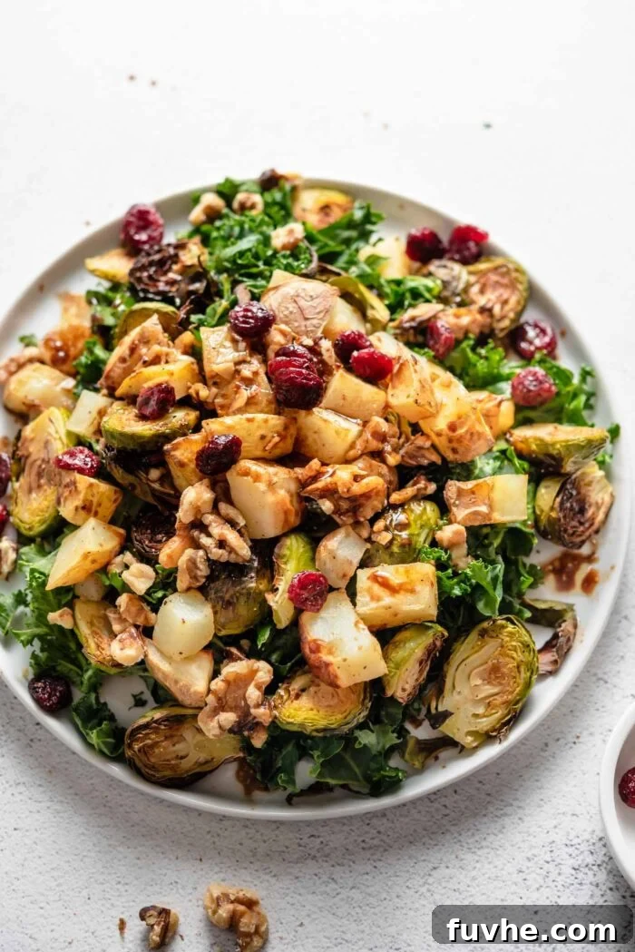 Overhead view of a colourful warm kale salad with roasted brussels sprouts, roasted potatoes, dried cranberries, and walnuts, tossed in balsamic vinaigrette.