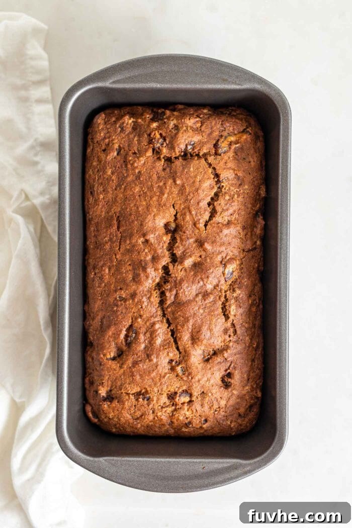 Spiced Vegan Pumpkin Date Loaf 9 An overhead view of a freshly baked, golden-brown pumpkin loaf cooling in its pan.