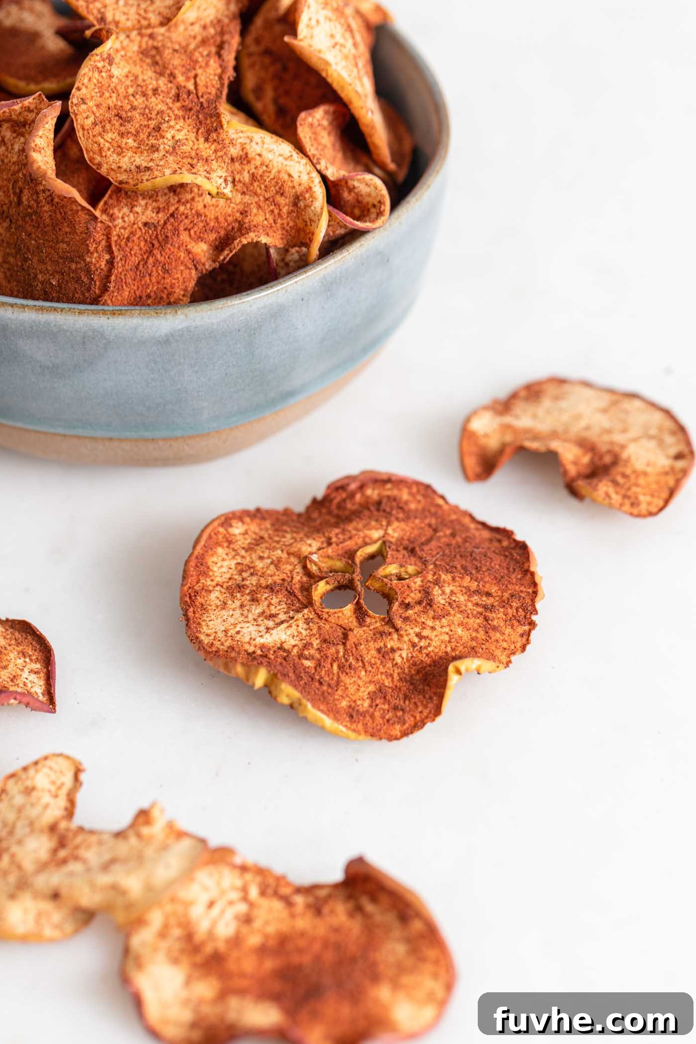 Close up of a perfectly baked cinnamon apple chip, with several others blurred in the background, showcasing their golden-brown, crispy texture. The chip has a delicate, almost translucent quality, suggesting ideal dehydration.