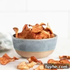 A charming bowl overflowing with perfectly baked cinnamon apple chips, displaying their golden-brown color and inviting texture. A few additional chips are scattered artfully around the bowl.