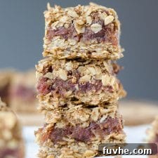 Gluten-Free Vegan Date Squares