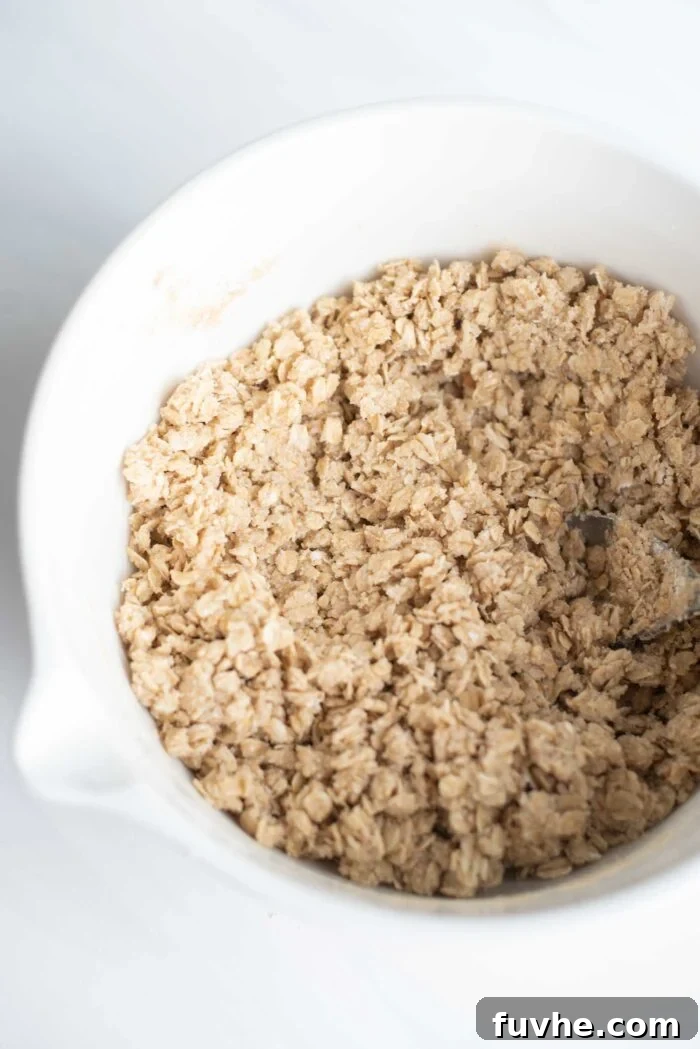 A crumbly mixture of oats and flour in a large mixing bowl, ready for the baking pan.