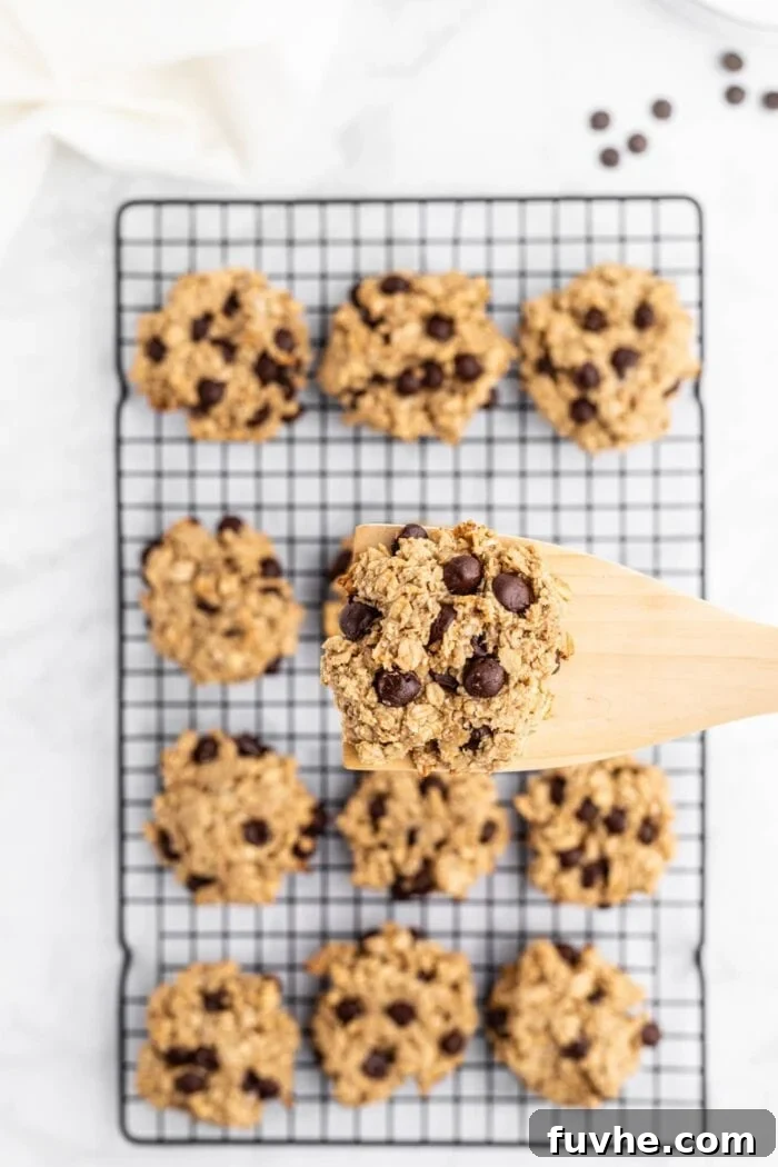 Irresistible Vegan Peanut Butter Oatmeal Cookies 9 A wooden spatula carefully lifts a freshly baked vegan oatmeal chocolate chip cookie from a cooling rack, with a dozen more cookies cooling nearby.