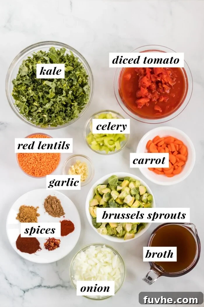 A visual display of fresh ingredients laid out for making kale lentil soup, including an onion, garlic cloves, carrots, celery stalks, Brussels sprouts, and a bunch of kale.