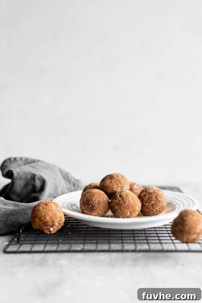 Sweet Swaps from Nature 4 Vegan Sugar-Free Cinnamon Sugar Balls on a plate.