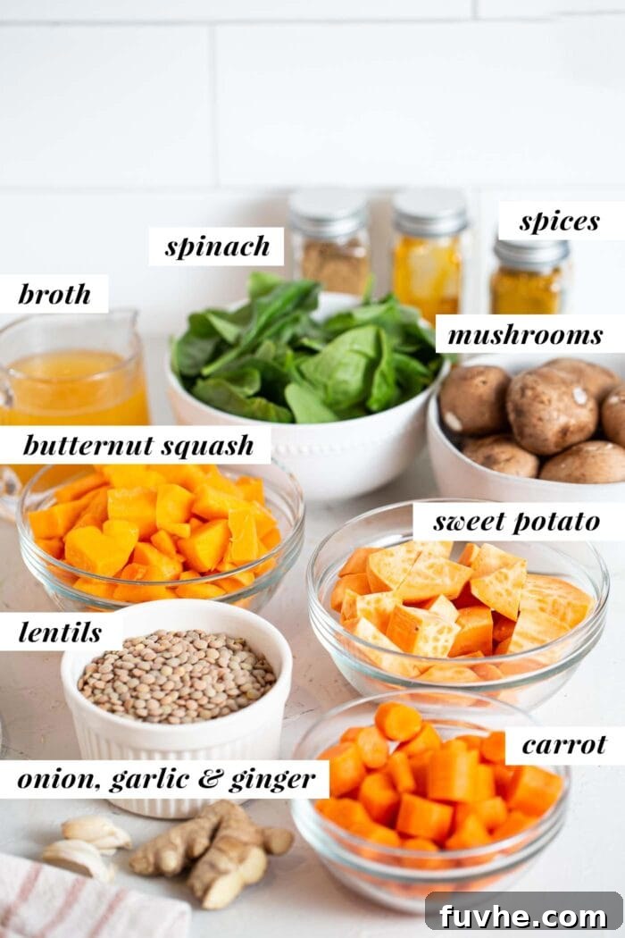 Golden Squash Lentil Pot 3 Labelled ingredients for a vibrant squash, carrot, and lentil stew neatly arranged on a kitchen countertop, ready for preparation.