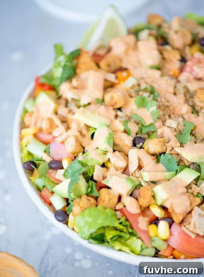 Vibrant Quinoa Medley 3 Healthy Vegan Quinoa Fiesta Salad with Chipotle Sauce