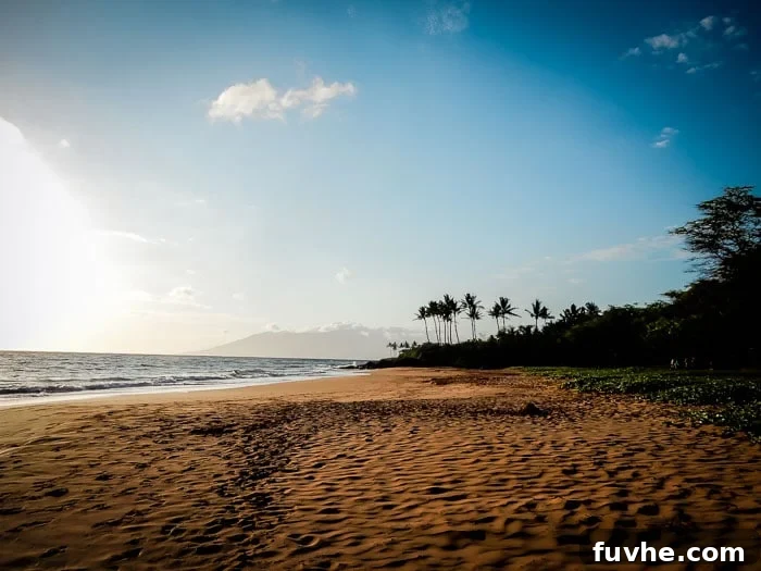 Plant-Based Pleasures in Maui 7 Best Vegan Restaurants in Maui, Hawaii