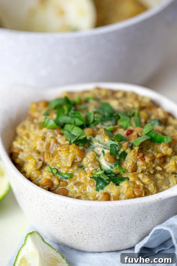 A bowl of vegan curried lentils with quinoa topped with chopped cilantro.