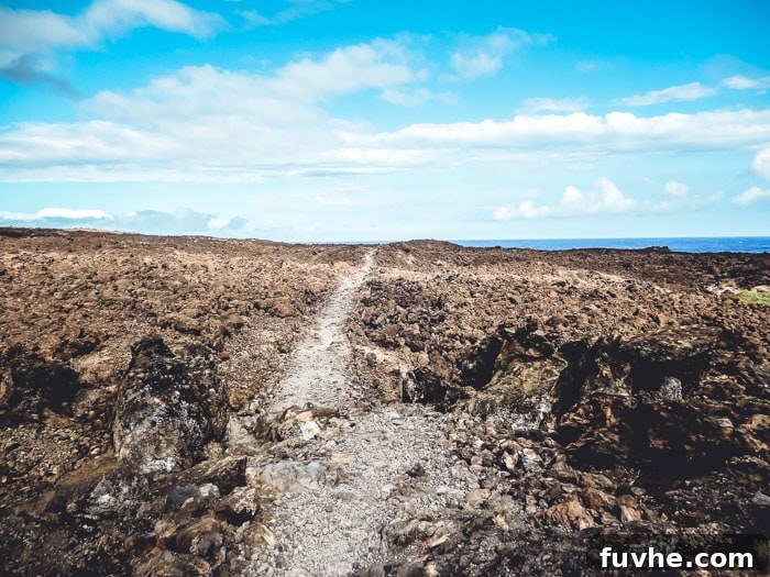 Unforgettable Maui Experiences 12 A rocky trail near the ocean in Hawaii.