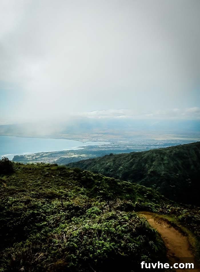Unforgettable Maui Experiences 17 Hiking Wiahee Ridge Trail on Maui - Running on Real Food