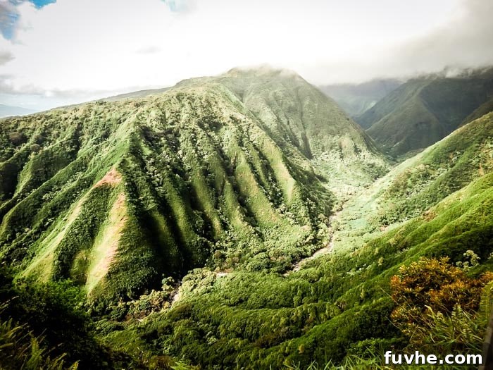 Unforgettable Maui Experiences 18 Views on Wiahee RIdge Trail: Things to do in Maui