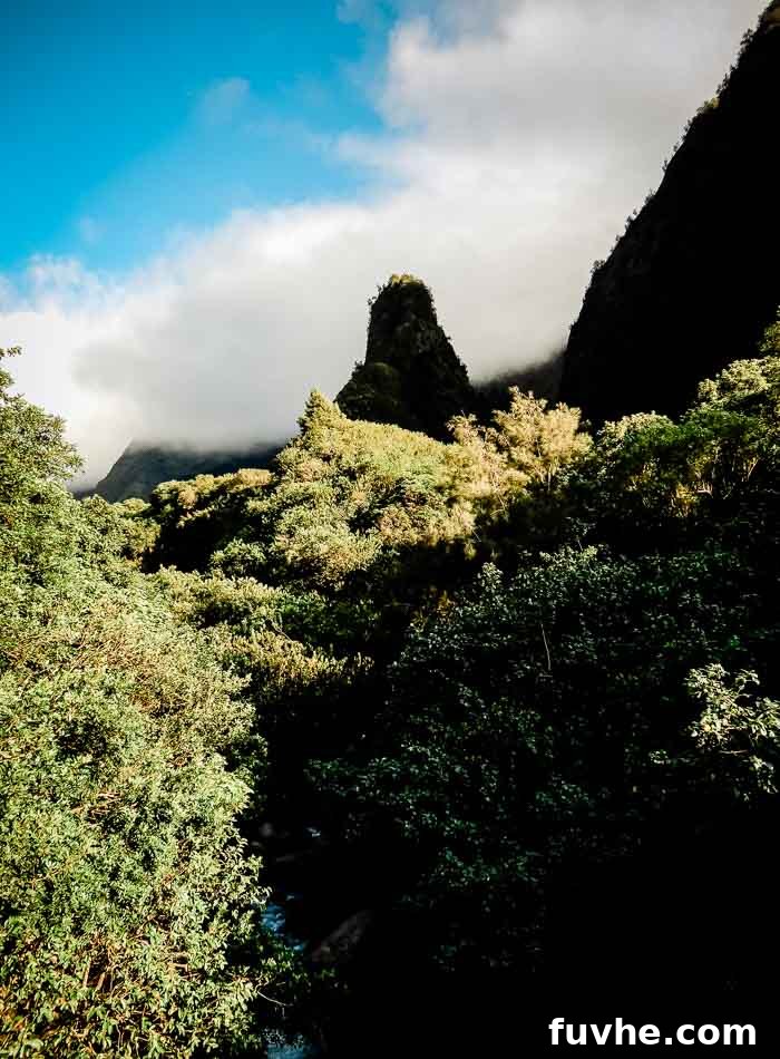 Unforgettable Maui Experiences 19 What To Do on Maui - Iao State Park - Running on Real Food