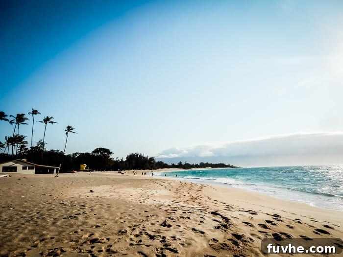 Unforgettable Maui Experiences 20 Baldwin Beach in Paia, Maui