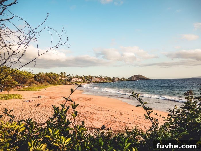 Unforgettable Maui Experiences 3 What to do in Maui, Hawaii - Running on Real Food