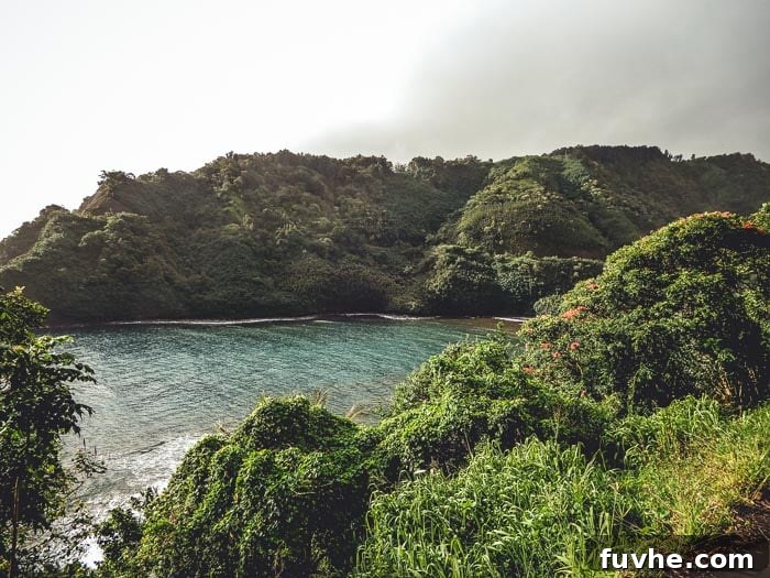 Unforgettable Maui Experiences 22 The Road to Hana in Maui - Running on Real Food