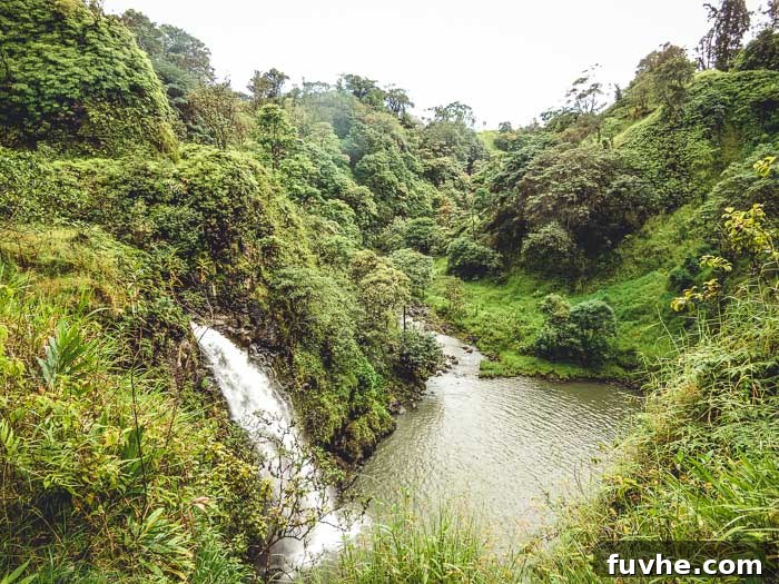 Unforgettable Maui Experiences 23 A waterfall on The Road to Hana in Maui - Running on Real Food