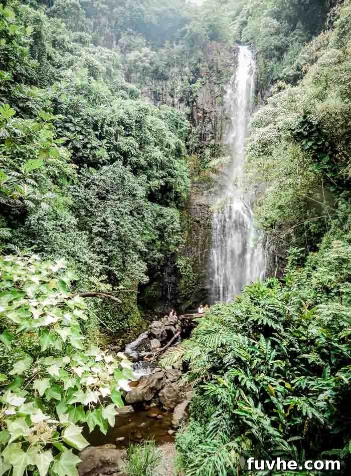Unforgettable Maui Experiences 24 Wailua Falls on the Road to Hana in Maui - Running on Real Food