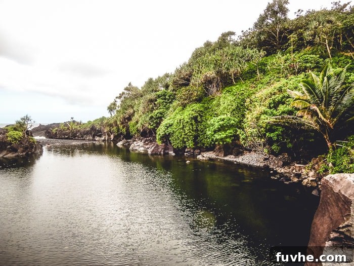 Unforgettable Maui Experiences 26 A beautiful lagoon set against a jungle in Hawaii.