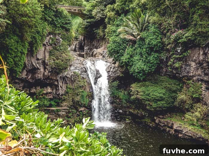 Unforgettable Maui Experiences 28 Oheo Pools on the Road to Hana - Best Outdoor Activities in Maui