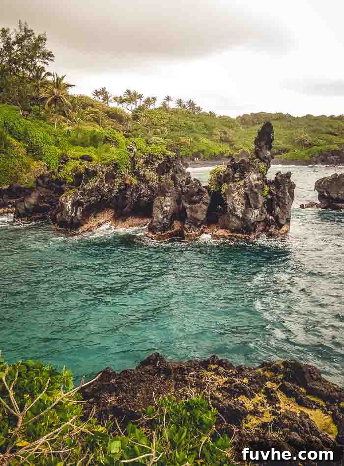 Unforgettable Maui Experiences 4 List of the Best Things to do on Maui - Running on Real Food