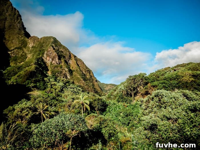 Unforgettable Maui Experiences 33 A mountain covered in jungles in Hawaii.