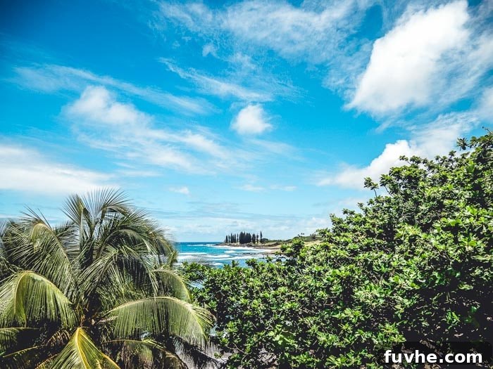 Unforgettable Maui Experiences 37 The Road to Hana, Maui, Hawaii - Running on Real Food