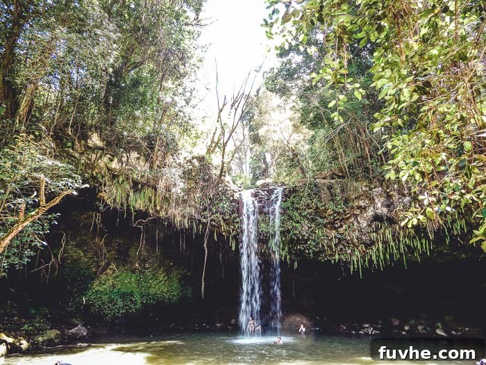 Unforgettable Maui Experiences 40 A waterfall over a lagoon with people swimming in it.
