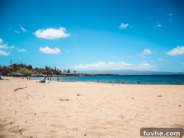 Unforgettable Maui Experiences 6 Beach Beaches: DT Fleming Beach in Kaanapali, Maui - Running on Real Food