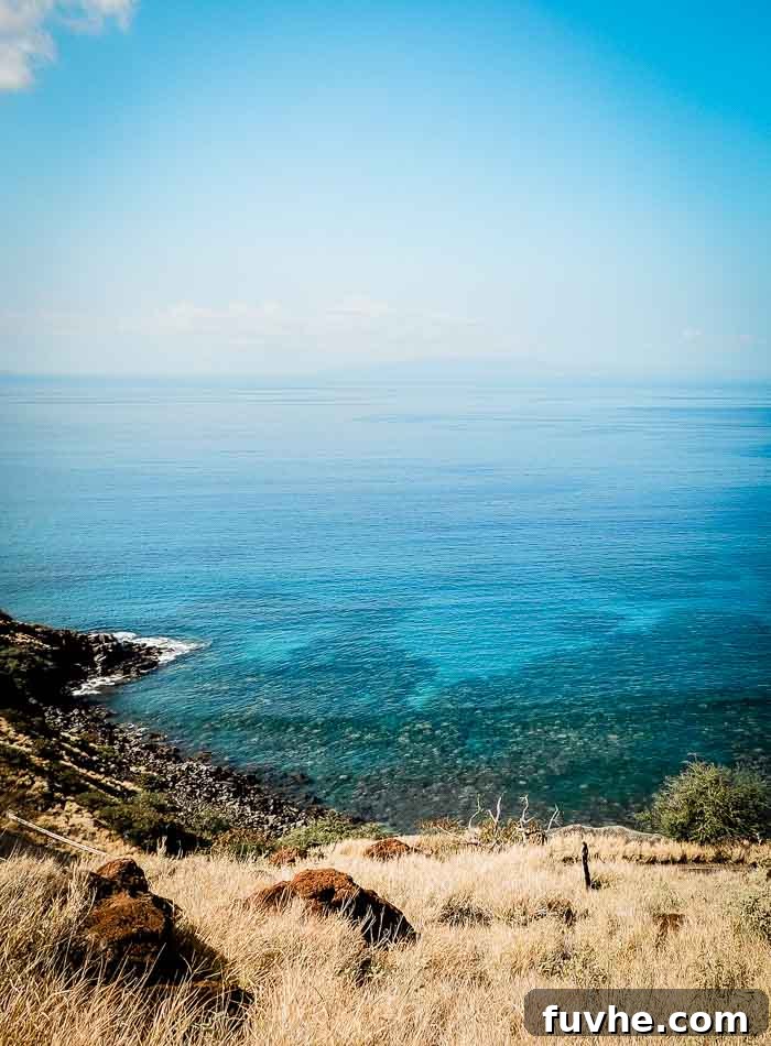 Unforgettable Maui Experiences 10 What to do in Maui - Running on Real Food