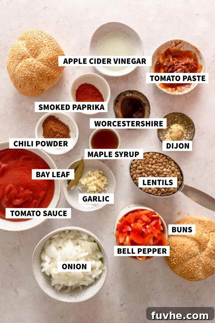 All the ingredients needed for making a vegan sloppy joe recipe with lentils and tomato sauce. Each ingredient is labelled with text, emphasizing fresh and wholesome components.