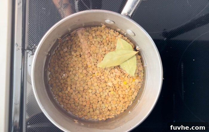Green lentils cooking in a pot with a bay leaf in it, simmering gently to perfection.