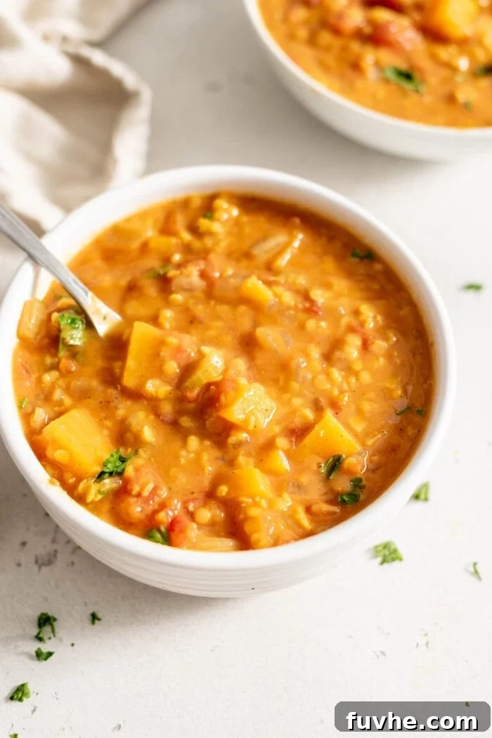 Golden Butternut Lentil Nourishment 8 Beautifully plated healthy vegan butternut squash lentil soup, ready to be enjoyed.