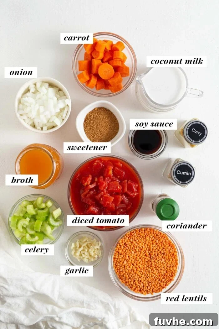 Hearty Curried Lentil Soup 3 An overhead view of carefully arranged and labeled ingredients for making a vibrant curried red lentil soup.