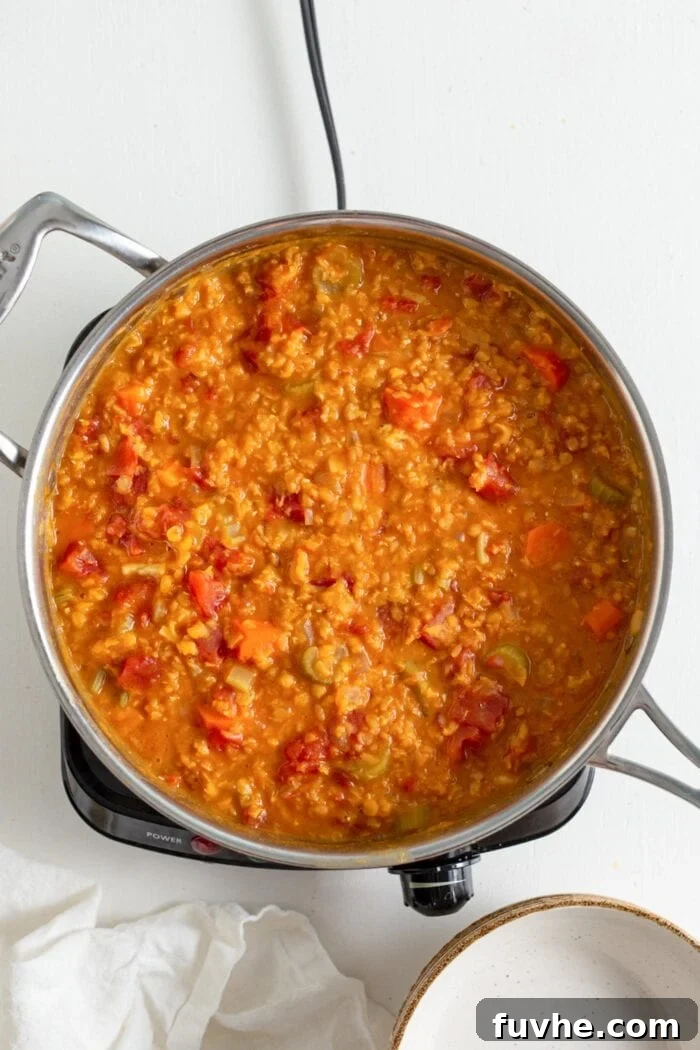 Hearty Curried Lentil Soup 6 An overhead shot of red lentils, diced tomatoes, coconut milk, and vegetable broth simmering in a pot.