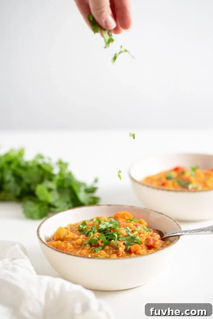 Hearty Curried Lentil Soup 8 A hand sprinkling fresh cilantro over a beautifully presented bowl of curried lentil soup.