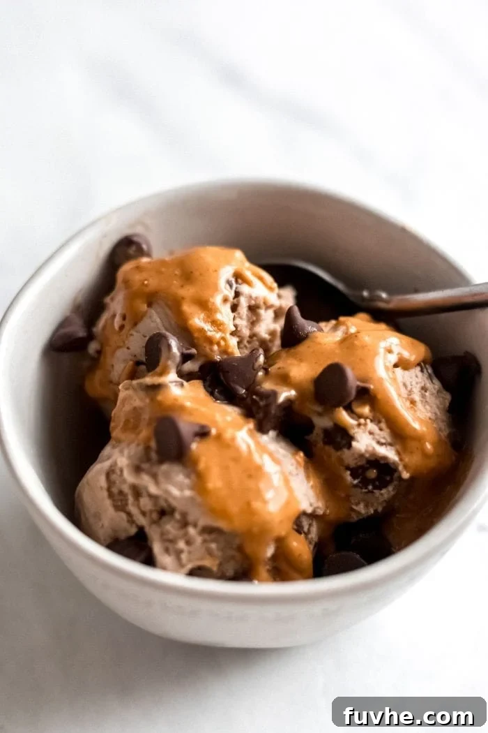 Bowl of peanut butter chocolate chip banana ice cream.