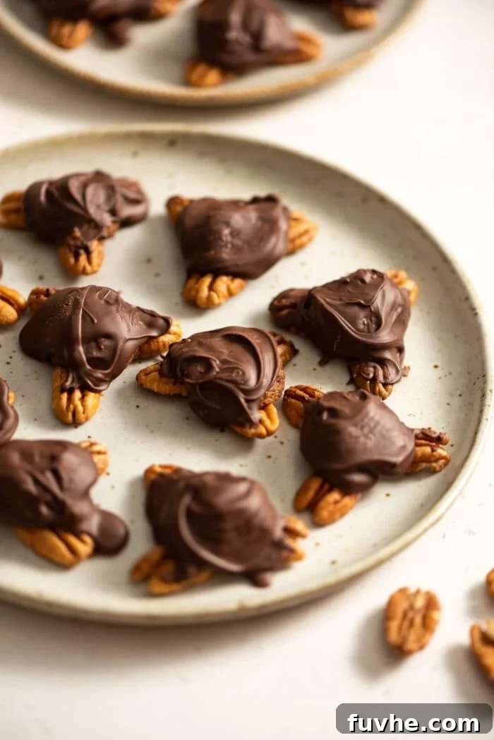 Homemade chocolate vegan turtles on a plate.