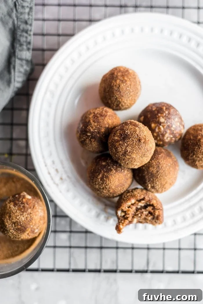 Cinnamon Sugar Bliss Bites 2 A plate of golden-brown no-bake cinnamon sugar balls coated in cinnamon sugar, resting on a wire rack.