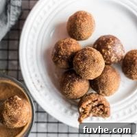 Cinnamon Sugar Bliss Bites 8 A small plate with a few cinnamon sugar donut holes on it.