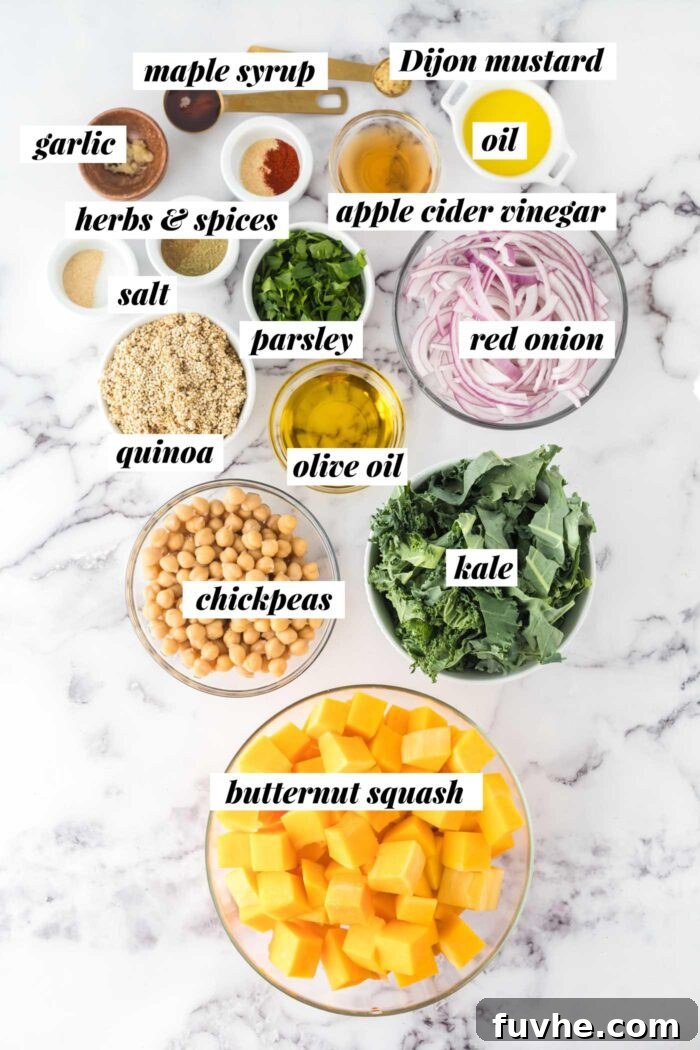 A collection of fresh ingredients laid out on a surface, including butternut squash, red onion, kale, quinoa, chickpeas, parsley, and various spices, all ready for the butternut squash quinoa salad recipe.